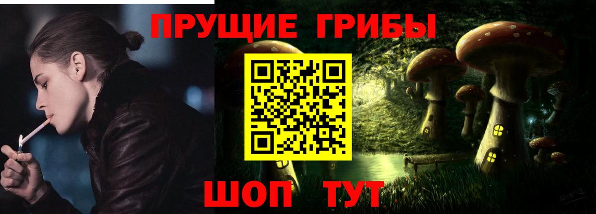 Галлюциногенные грибы Psilocybe Аргун